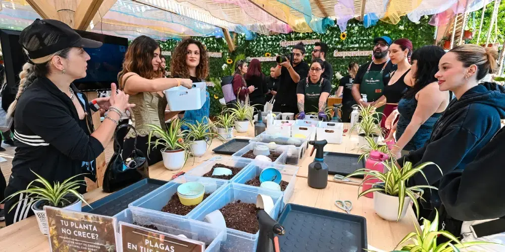 Wanderlust Suzuki 2026